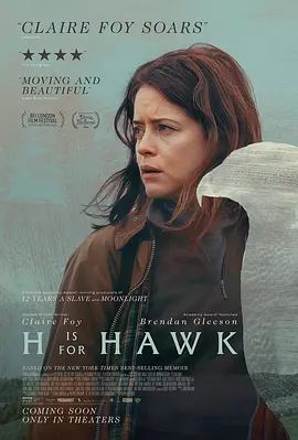 以鹰之名